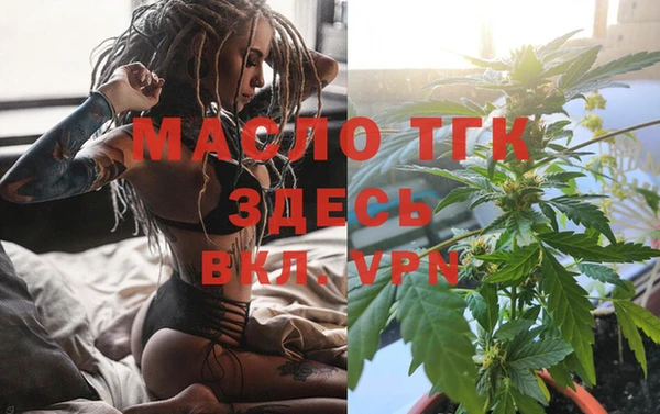 гидра Козловка