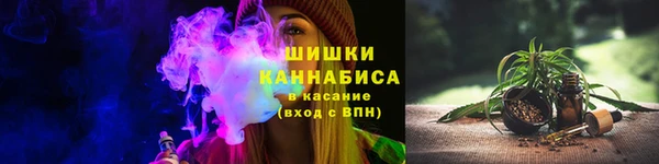 прущие крисы Покачи