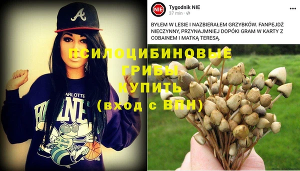 бошки Белокуриха