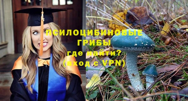 хмурый Зеленокумск