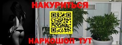 молекула духа Кандалакша