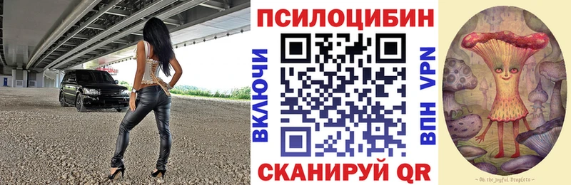 купить   мега как зайти  Псилоцибиновые грибы Psilocybine cubensis  Славгород 