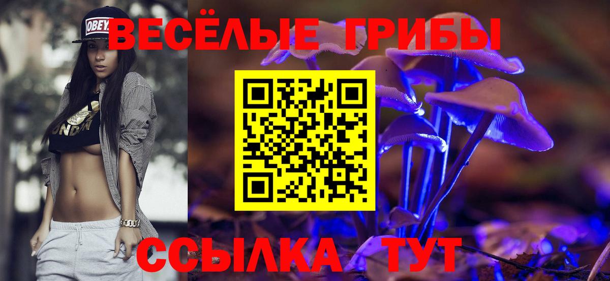 Псилоцибиновые грибы MAGIC MUSHROOMS  Вход с VPN  Славгород 