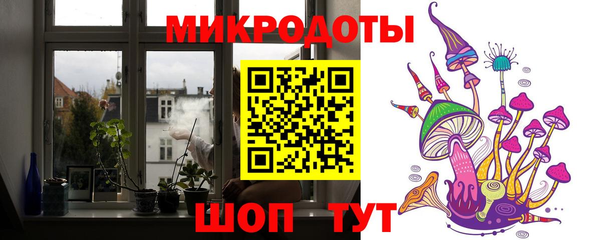 Галлюциногенные грибы Psilocybine cubensis Славгород